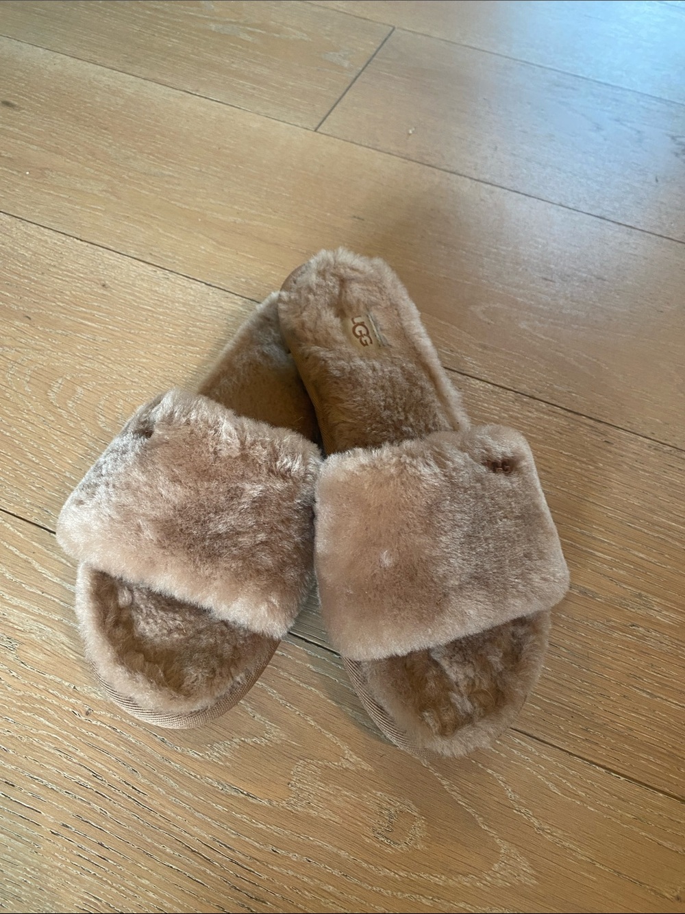 Ugg slipper shoe